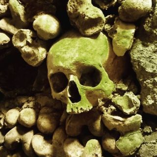 Catacombes Paris Crâne