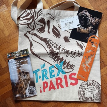 Un T. Rex à Paris boutique